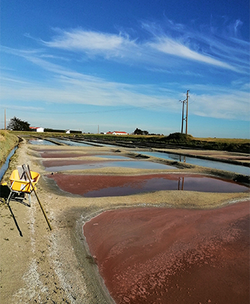 Vente de sels à Beauvoir-Sur-Mer